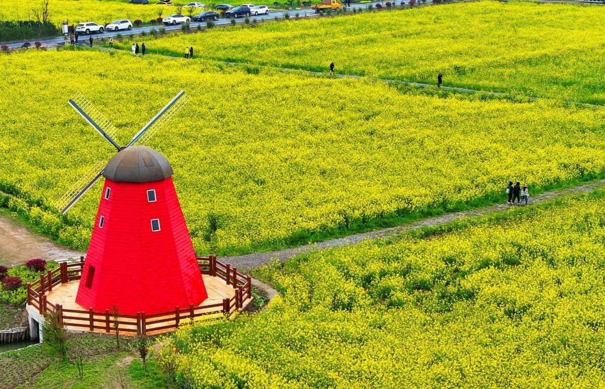 周边商品开 周边商品开