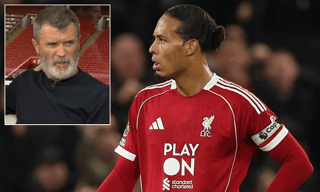 msn, 那样的话 msn, 那样的话