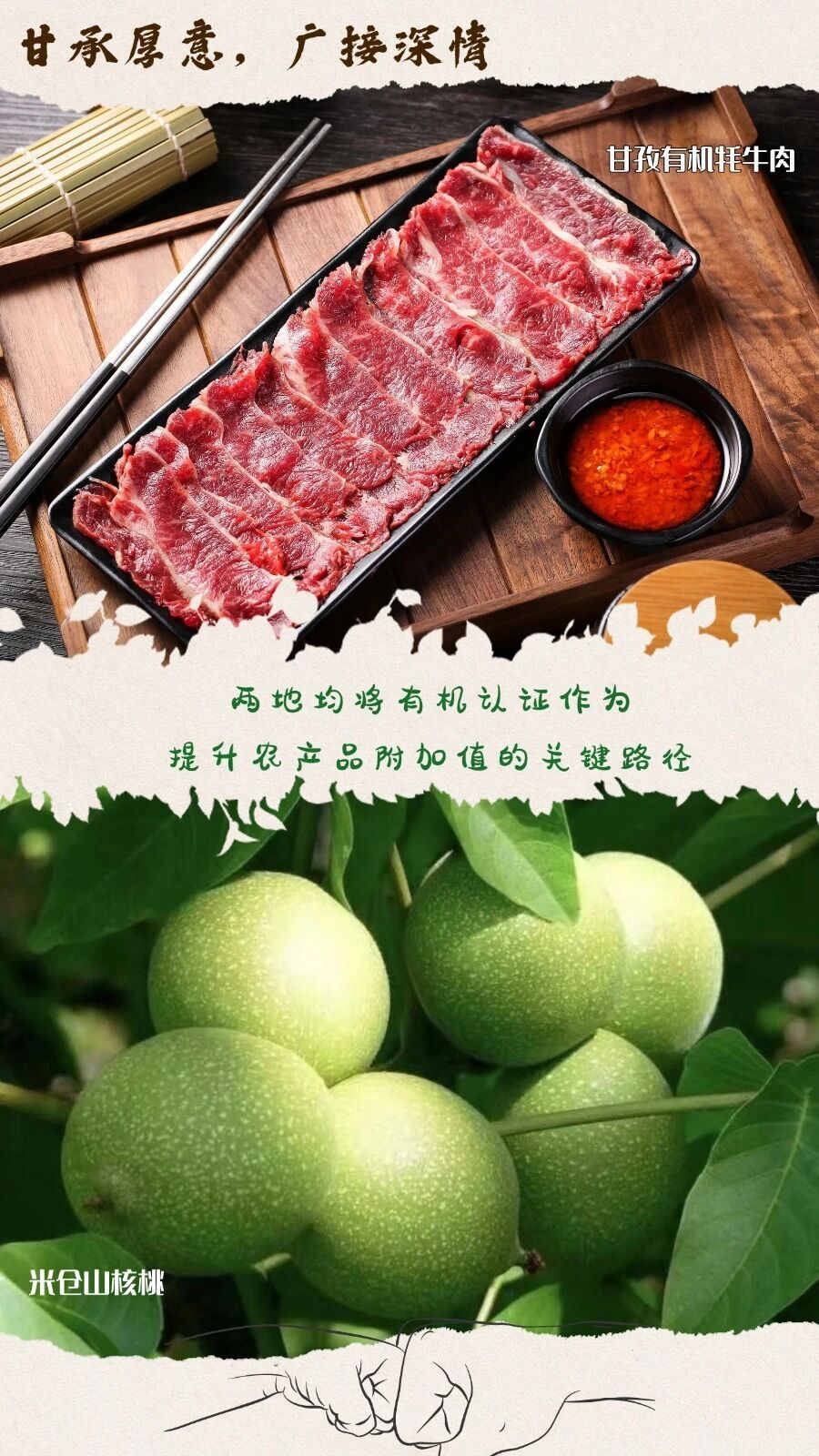 img, xVmfR img, xVmfR